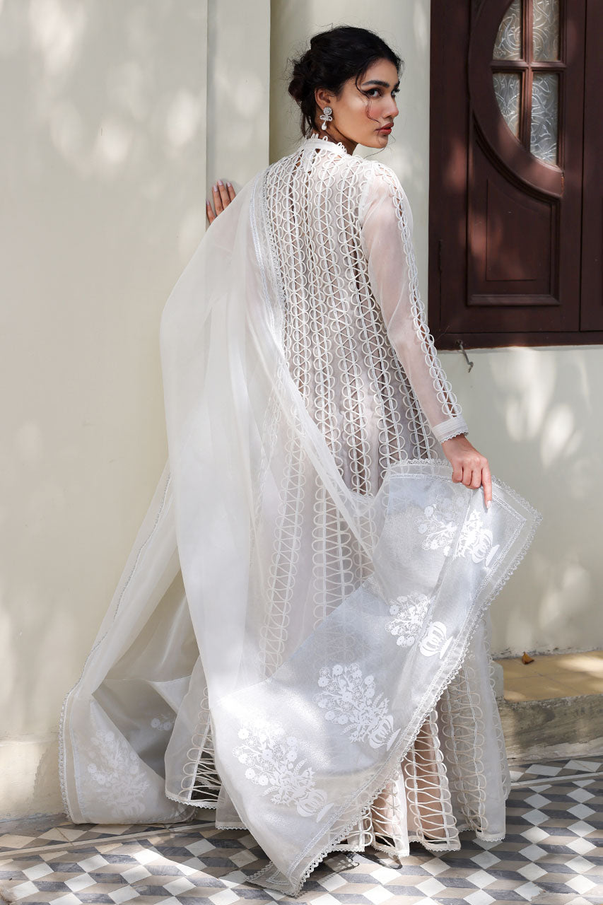 https://cdn.shopify.com/s/files/1/0790/3779/2529/files/Product1-4_d761925d-1ad4-4041-8d0f-b473c458a194.jpg?v=1713780855