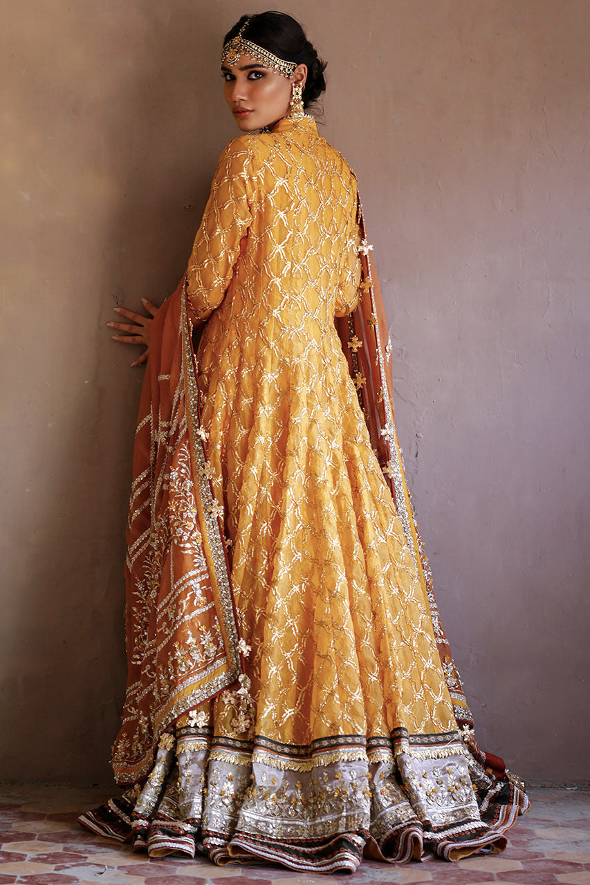 Gul-E-Dawodi
