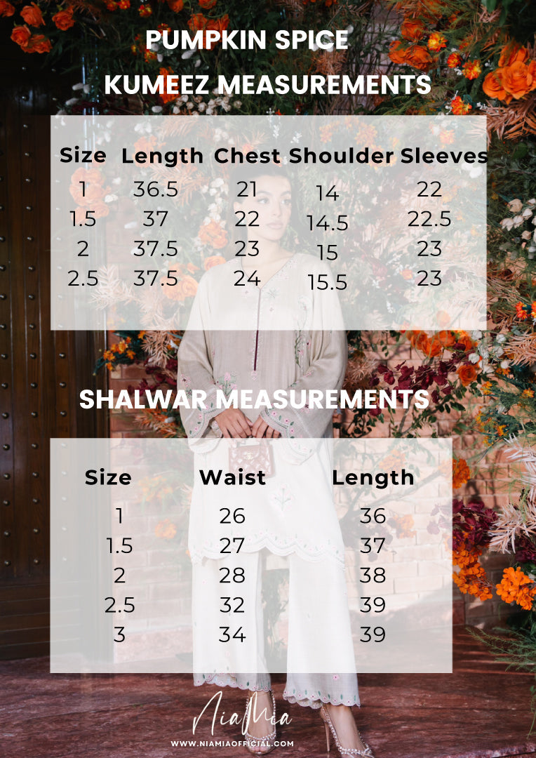 https://cdn.shopify.com/s/files/1/0643/9449/4197/files/Pumpkin-Spice-Sizechart.jpg?v=1734596210