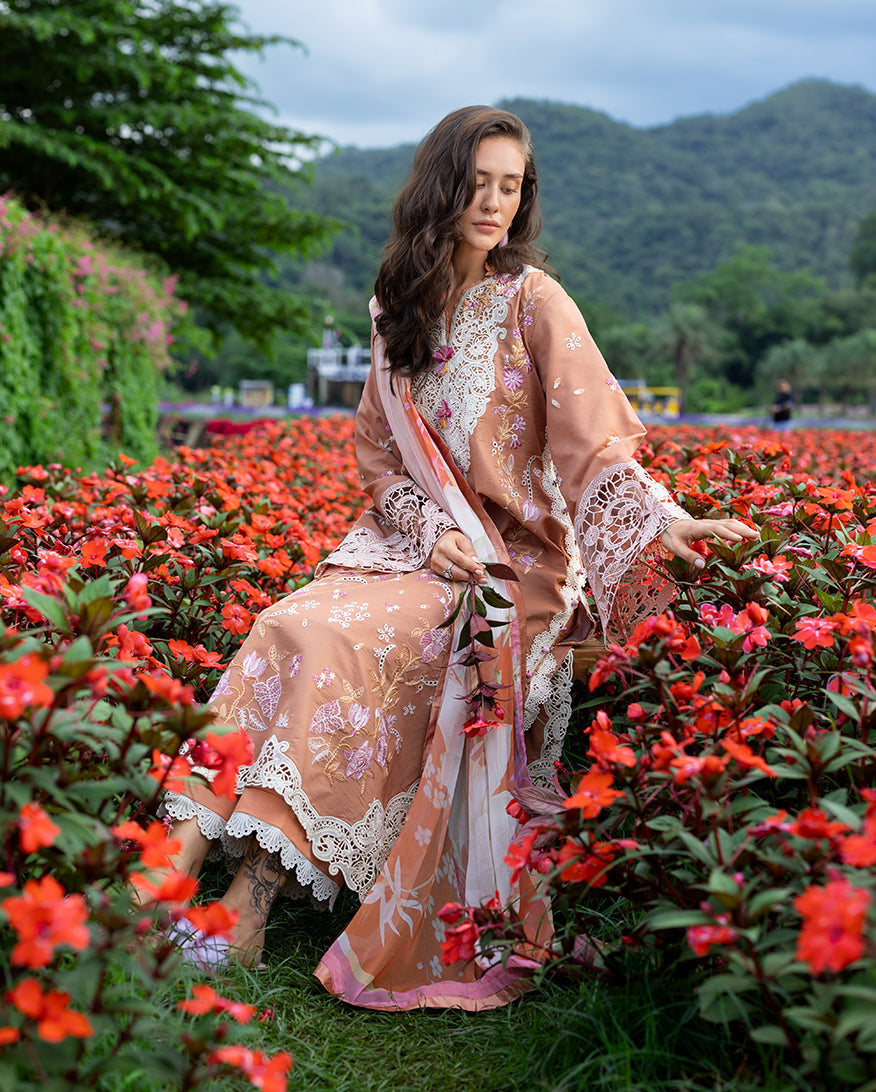 Rosette Reverie