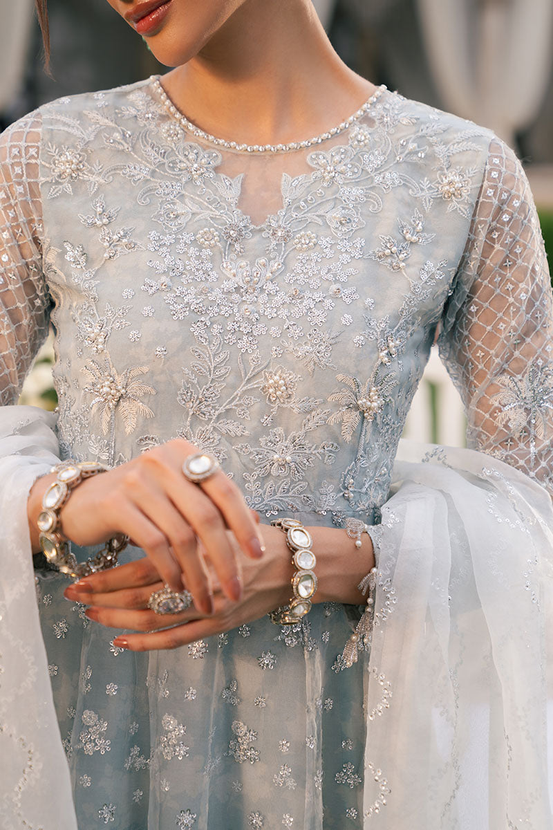 ROYAL GLINT-2PC ORGANZA EMBROIDERED PRET