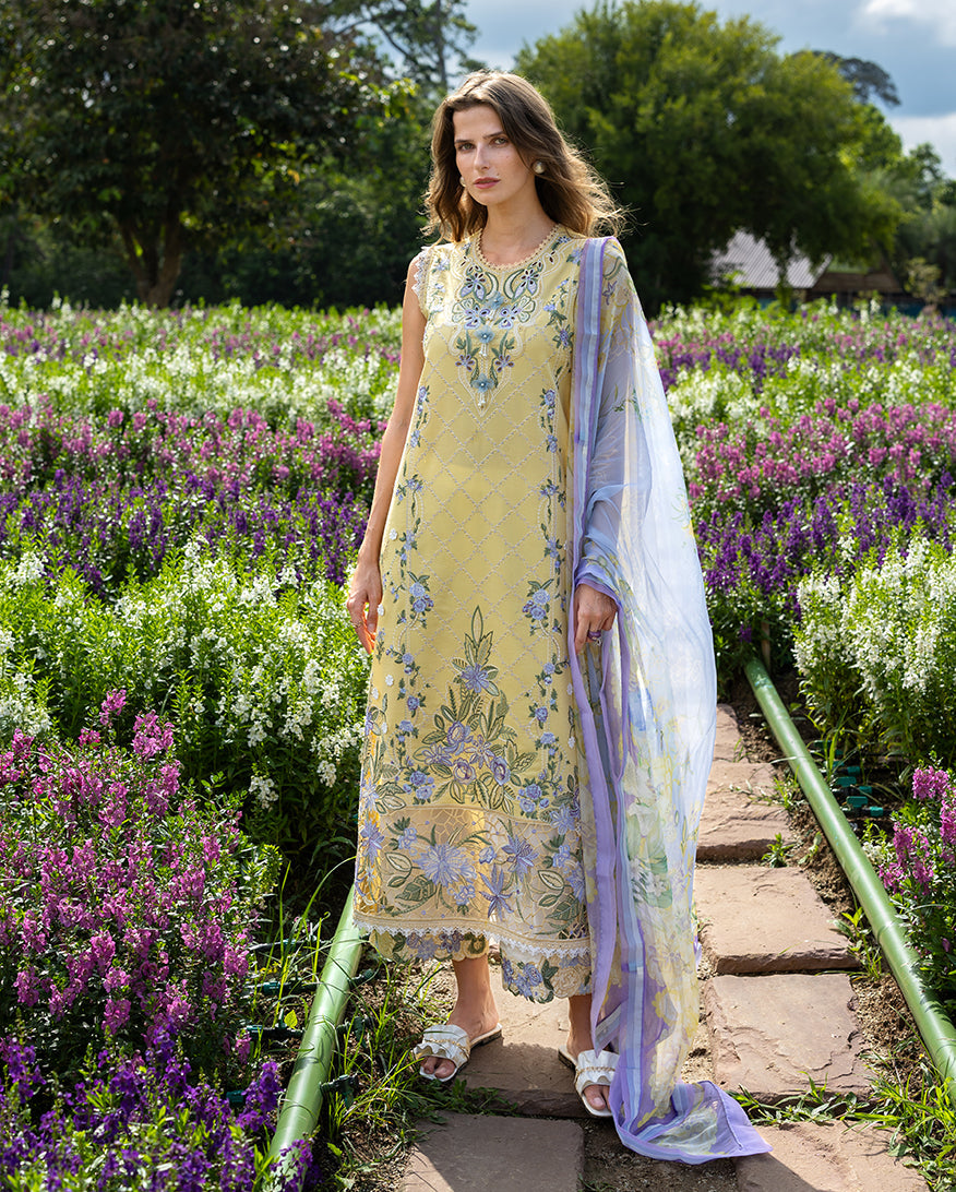 https://cdn.shopify.com/s/files/1/0539/7318/8776/files/SunlitMeadow_1_cb54ac06-a5f9-4b8b-b418-dde5351acd2d.jpg?v=1768982068