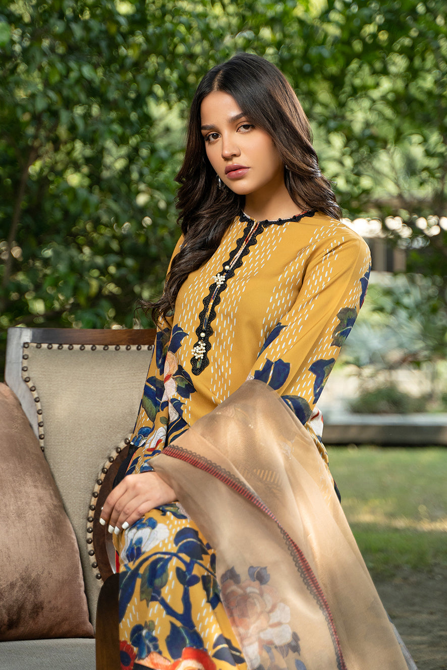 Bariz Dupatta