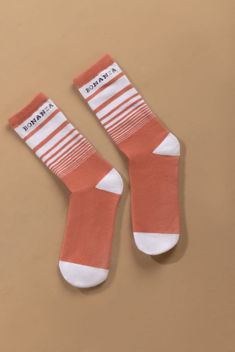 https://cdn.shopify.com/s/files/1/0872/1278/5848/files/WCSMO3_4.jpg?v=1778309457