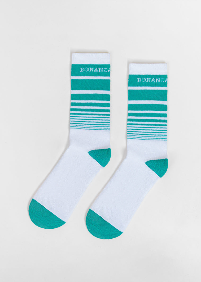 https://cdn.shopify.com/s/files/1/0872/1278/5848/files/WCSMW2_2.jpg?v=1775721403