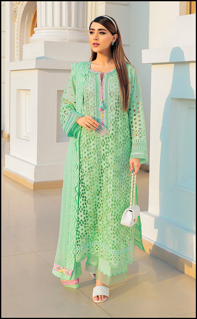 https://cdn.shopify.com/s/files/1/0560/5431/7229/products/WEB17.jpg?v=1678947995