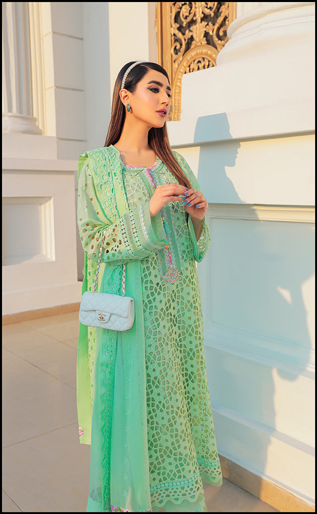 https://cdn.shopify.com/s/files/1/0560/5431/7229/products/WEB19.jpg?v=1678947995