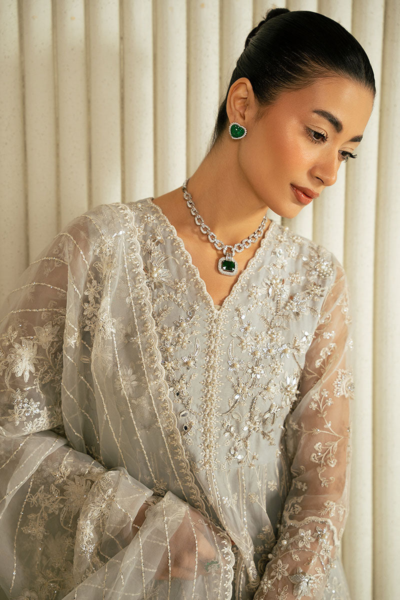 WHISPERING BLUE-2PC ORGANZA EMBROIDERED PRET