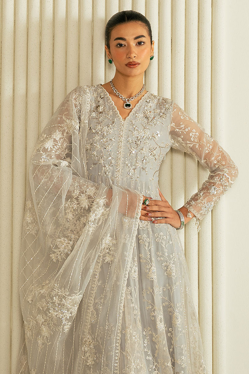 WHISPERING BLUE-2PC ORGANZA EMBROIDERED PRET