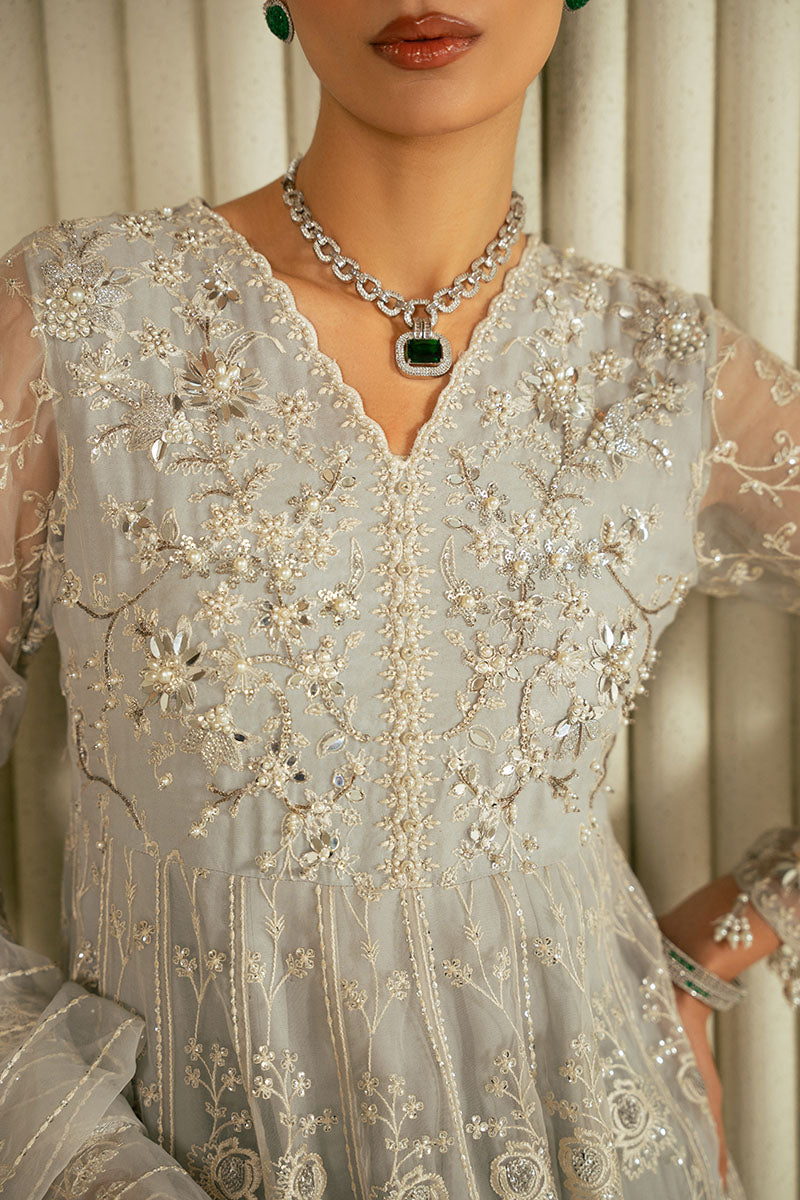 WHISPERING BLUE-2PC ORGANZA EMBROIDERED PRET