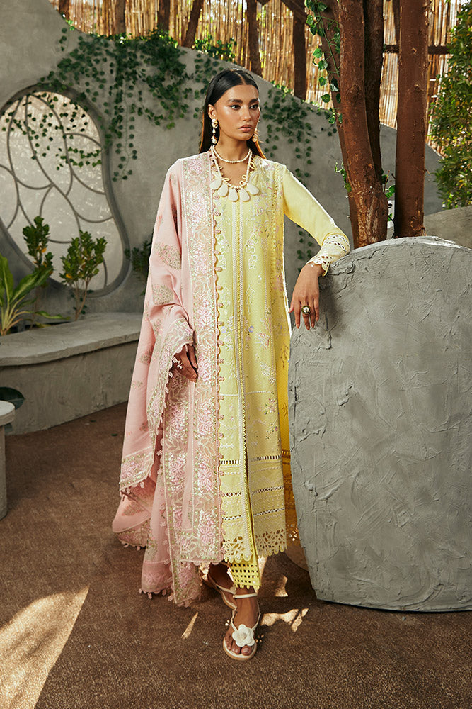 https://cdn.shopify.com/s/files/1/1146/5868/files/Y_0005_WY-4.jpg?v=1711796861
