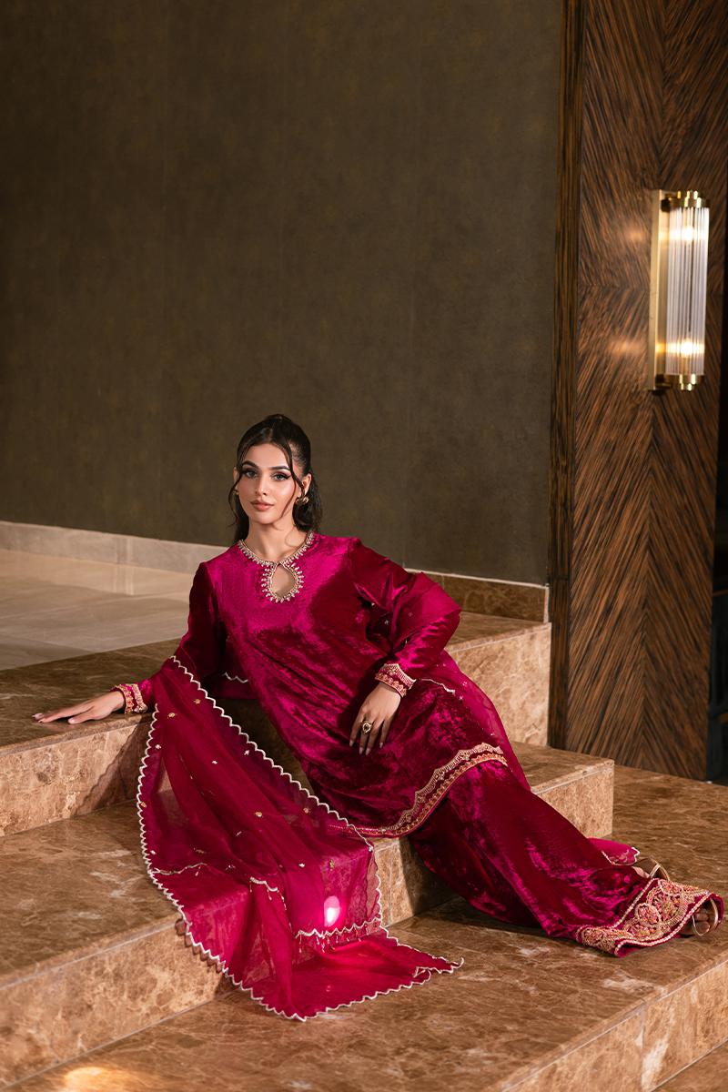 Arrash Velvet luxe by Alizay Saad