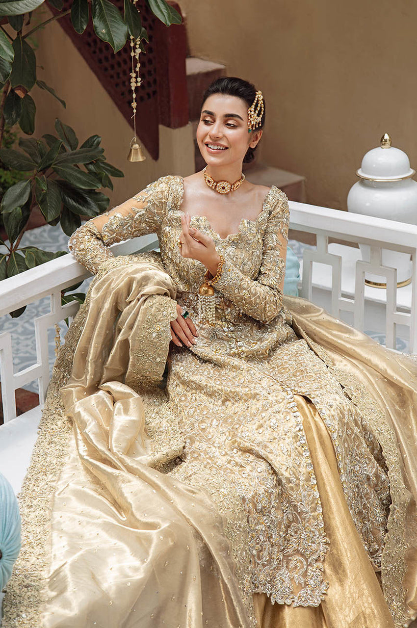 Firozabad Bridal Kalidaar - Exhibition