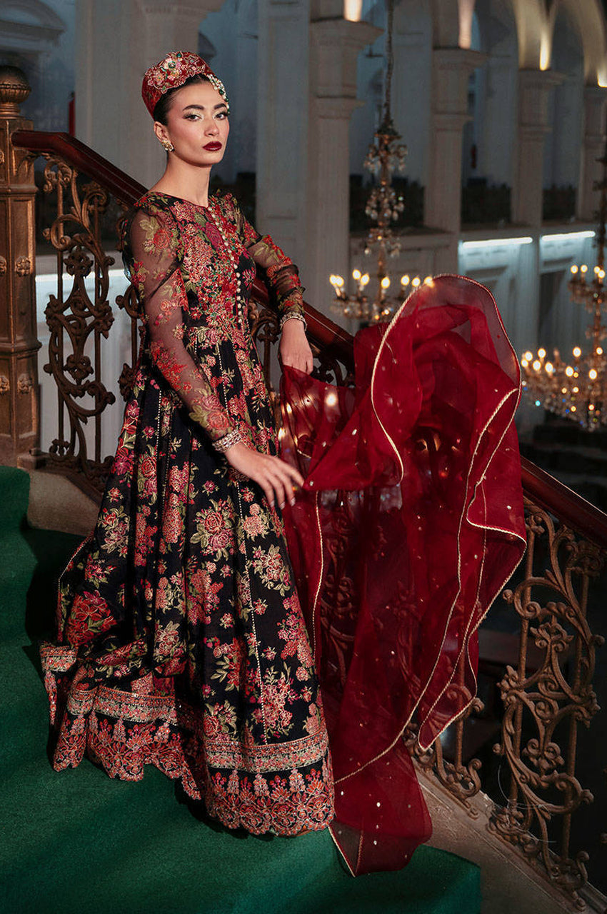 Black Dahlia