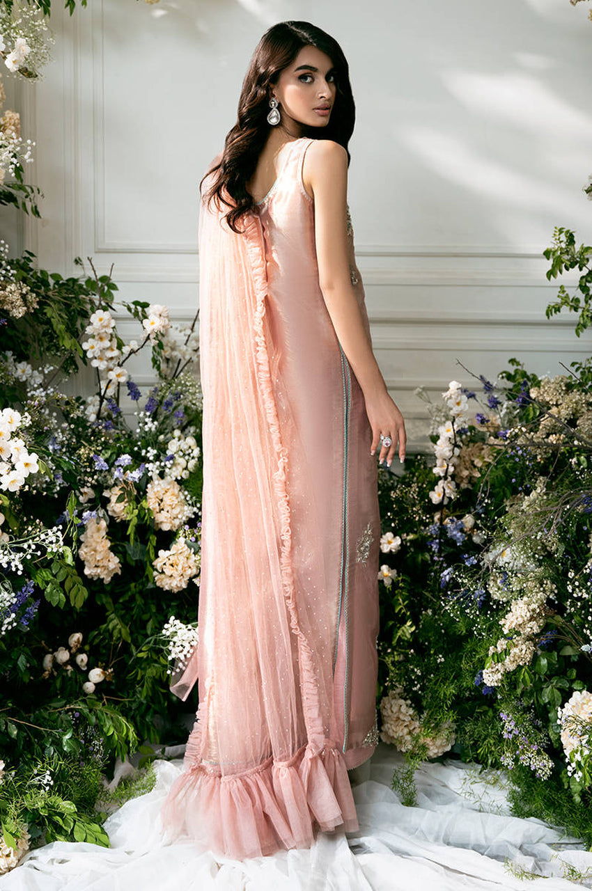 Pink Rose