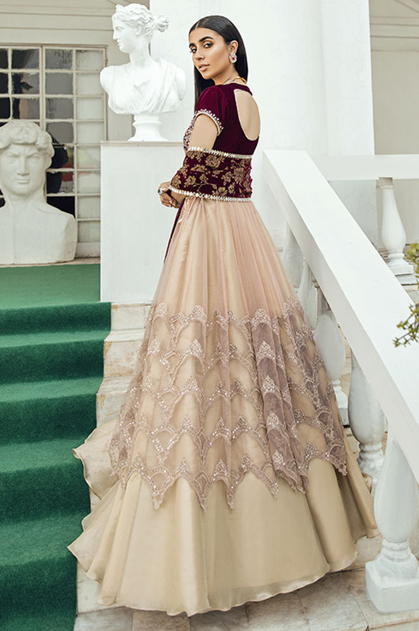 Jaipur Kalidaar