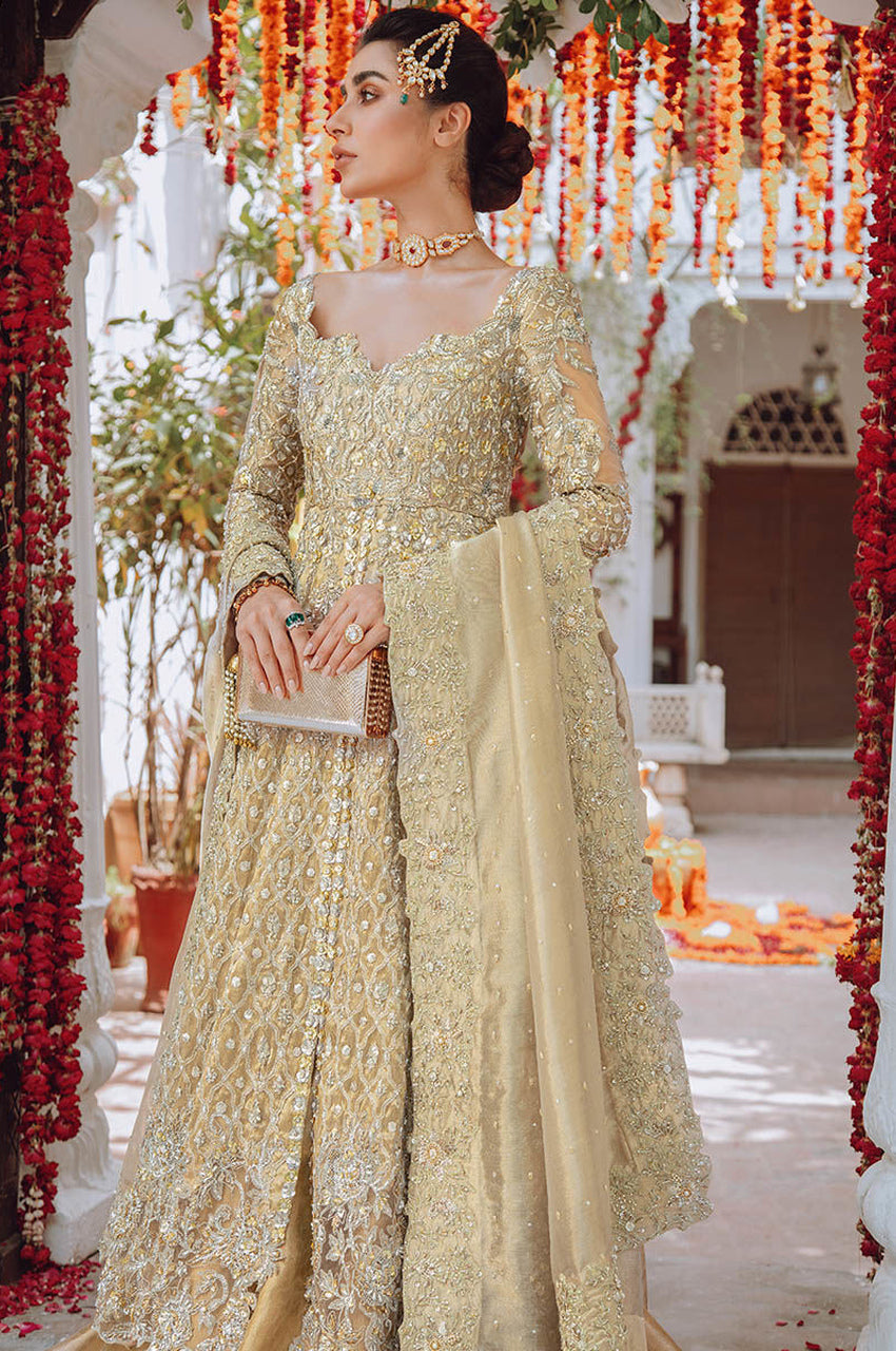 Firozabad Bridal Kalidaar - Exhibition