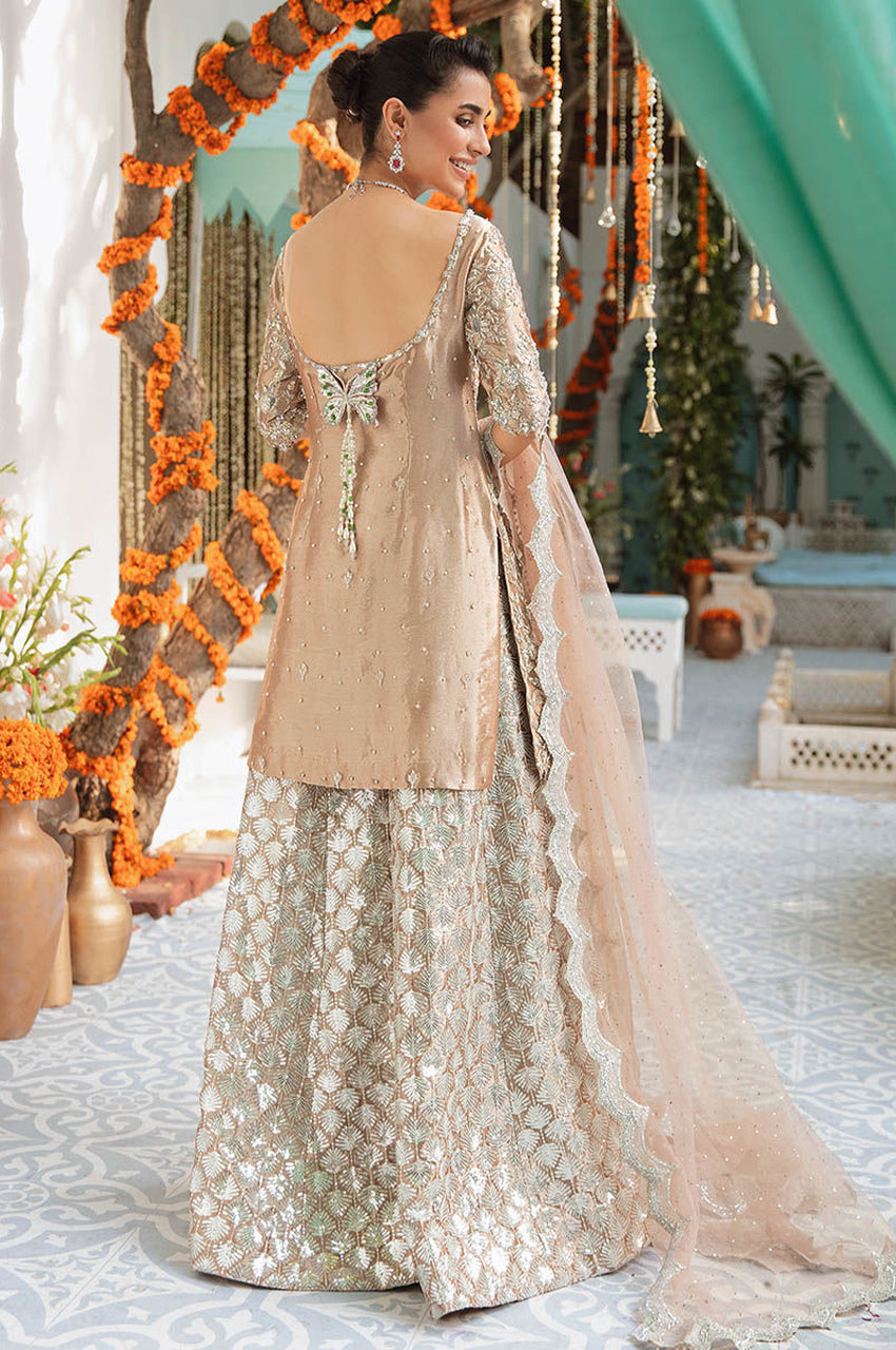 Rose Gold Dulaari - Exhibition