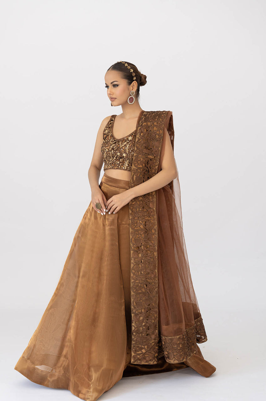 Roshni