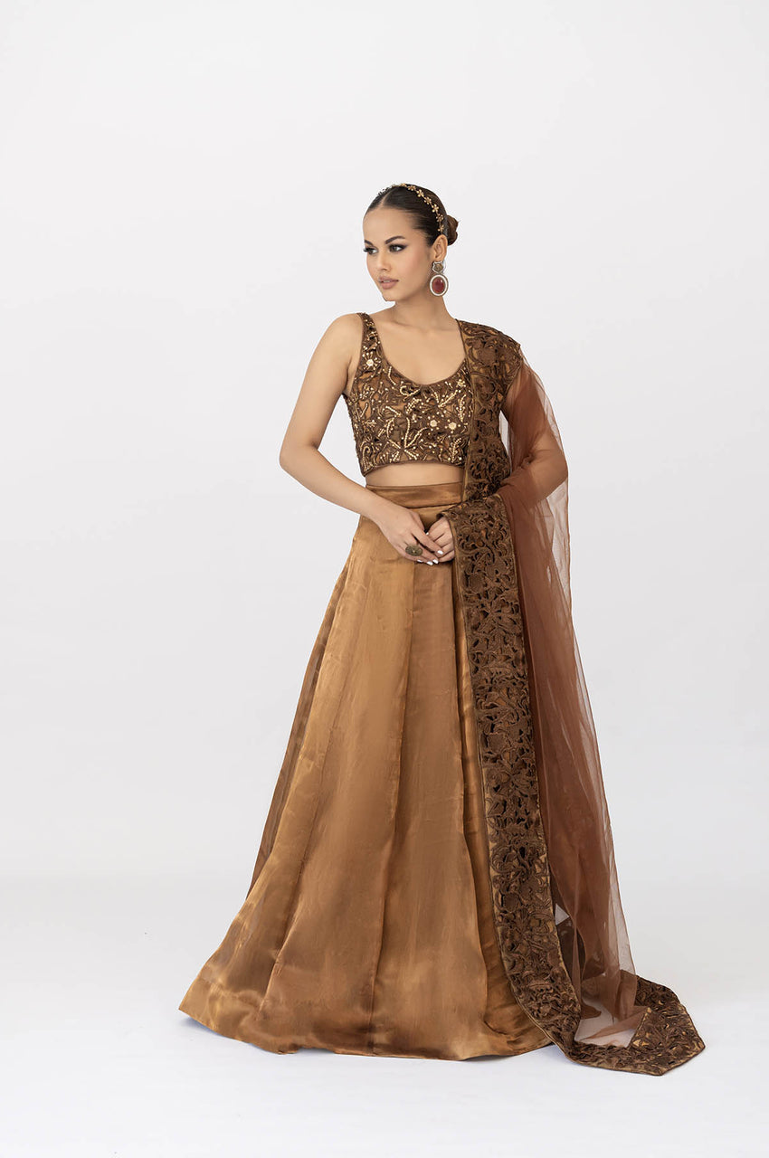 Roshni