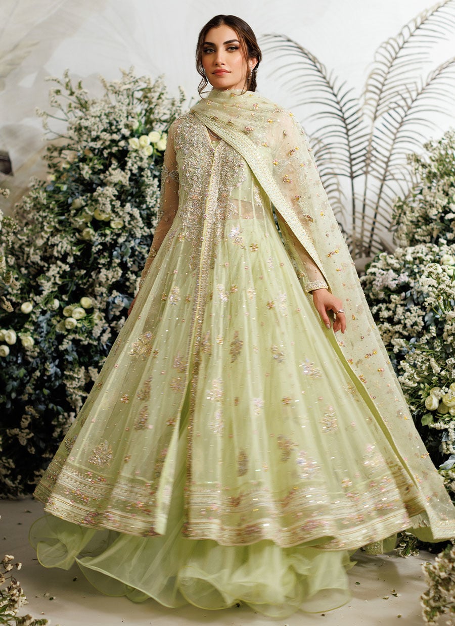 Farah Talib Aziz – Eliza Kiwi Style