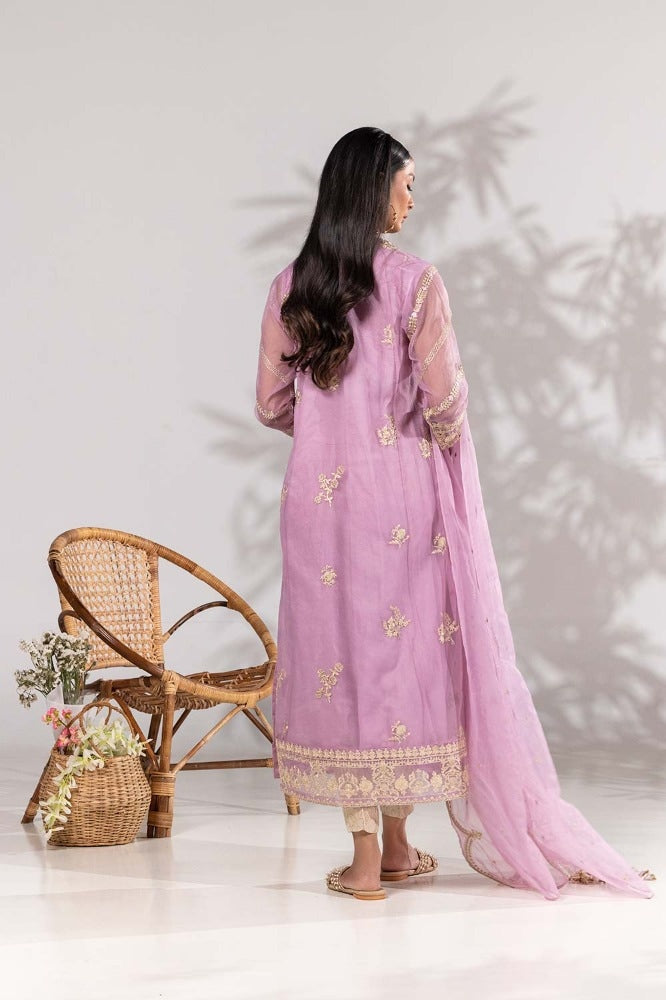 3 Piece Organza Embroidered Suit