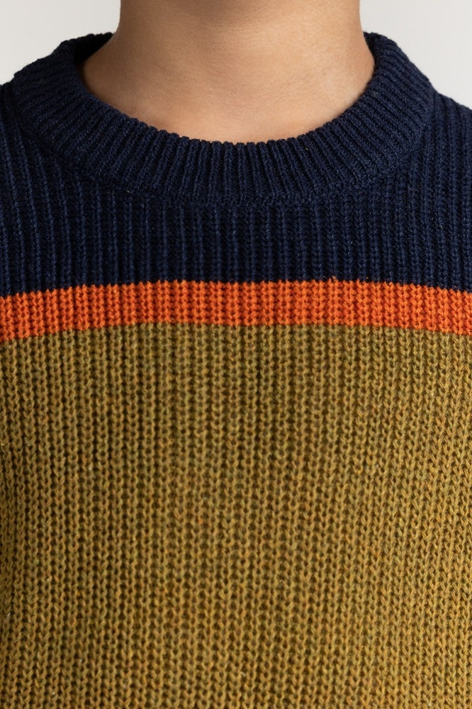 Junior Boy Multi Basic Sweater