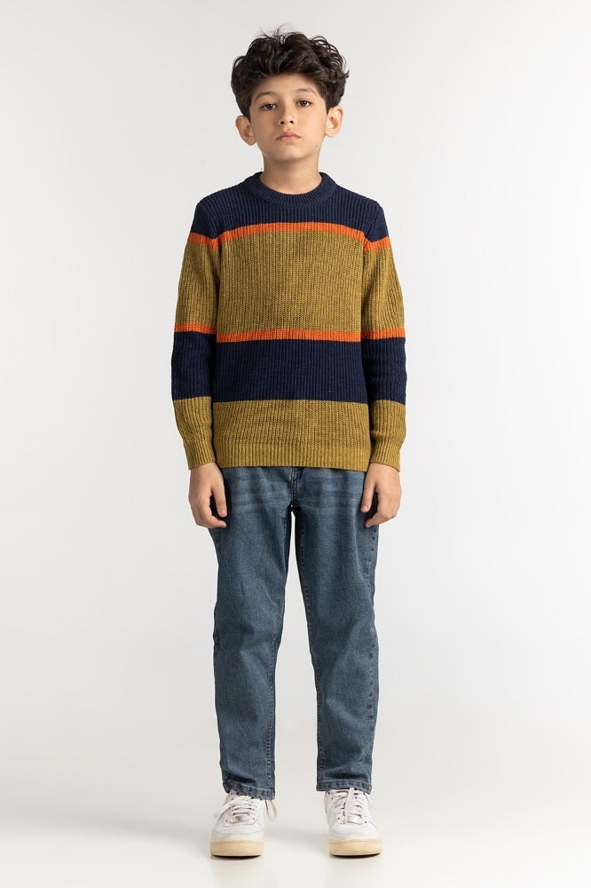 Junior Boy Multi Basic Sweater