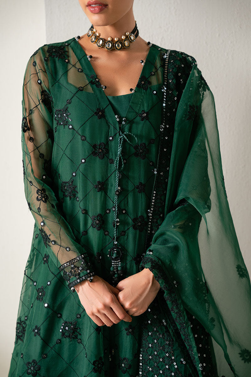 EMERALD DREAM-4PC ORGANZA EMBROIDERED SUIT