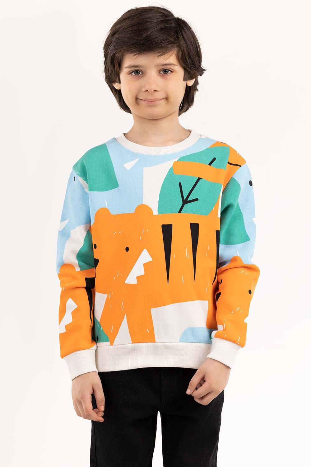 Toddler Boy Multi Sweatshirt