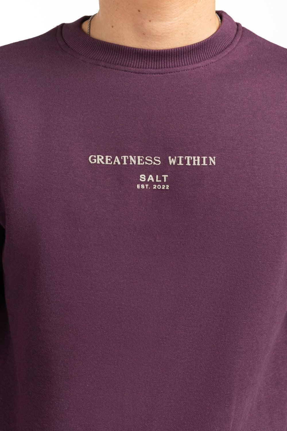 Regular Fit Sweatshirt