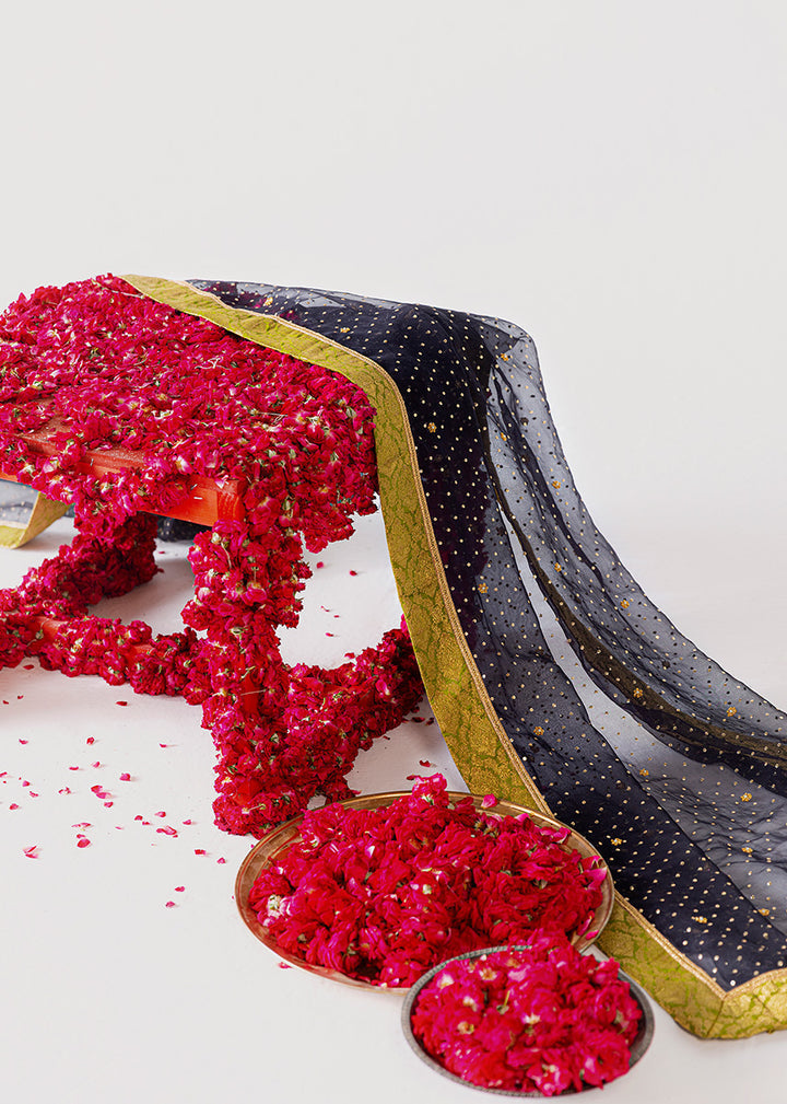 Sara Rohale Asghar – Bahar Ayin Style