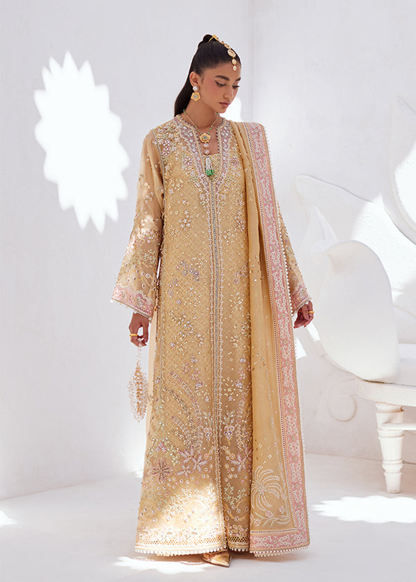 Suffuse – Suha Style