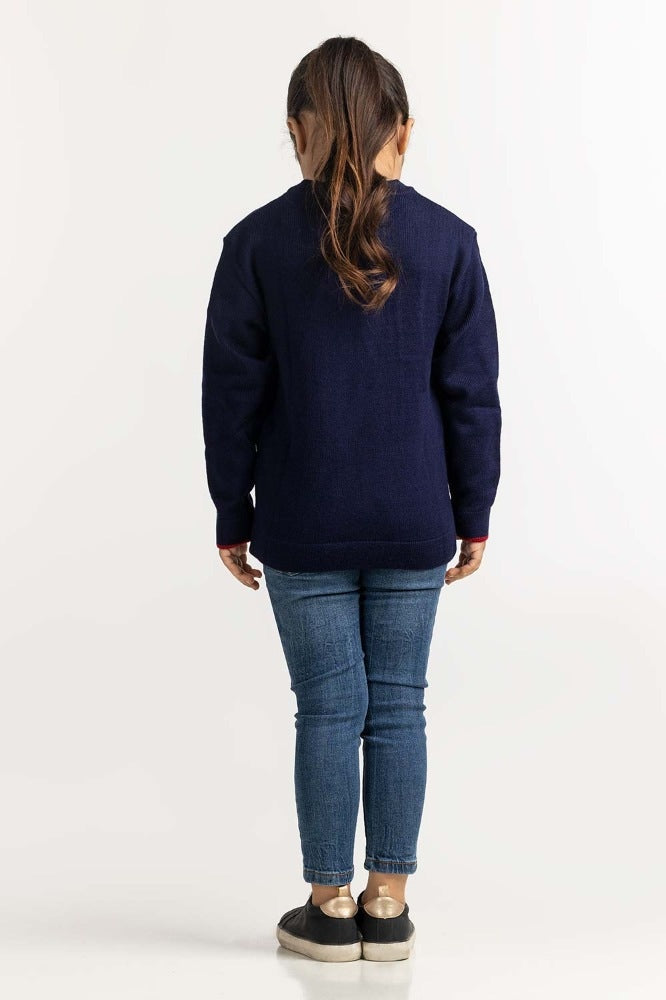 Toddler Girl Blue Basic Sweater