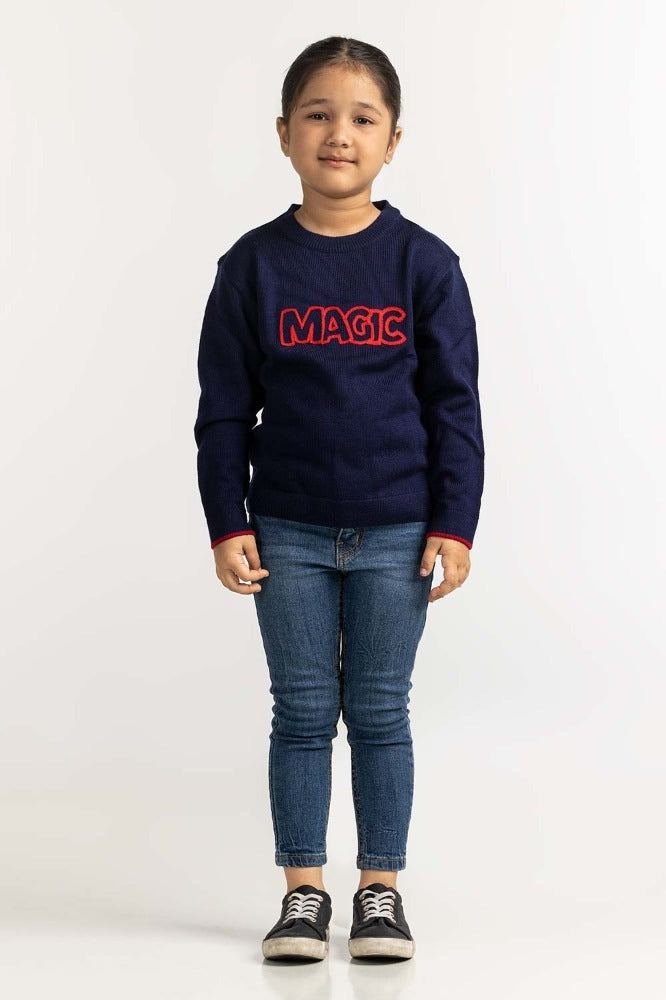 Toddler Girl Blue Basic Sweater