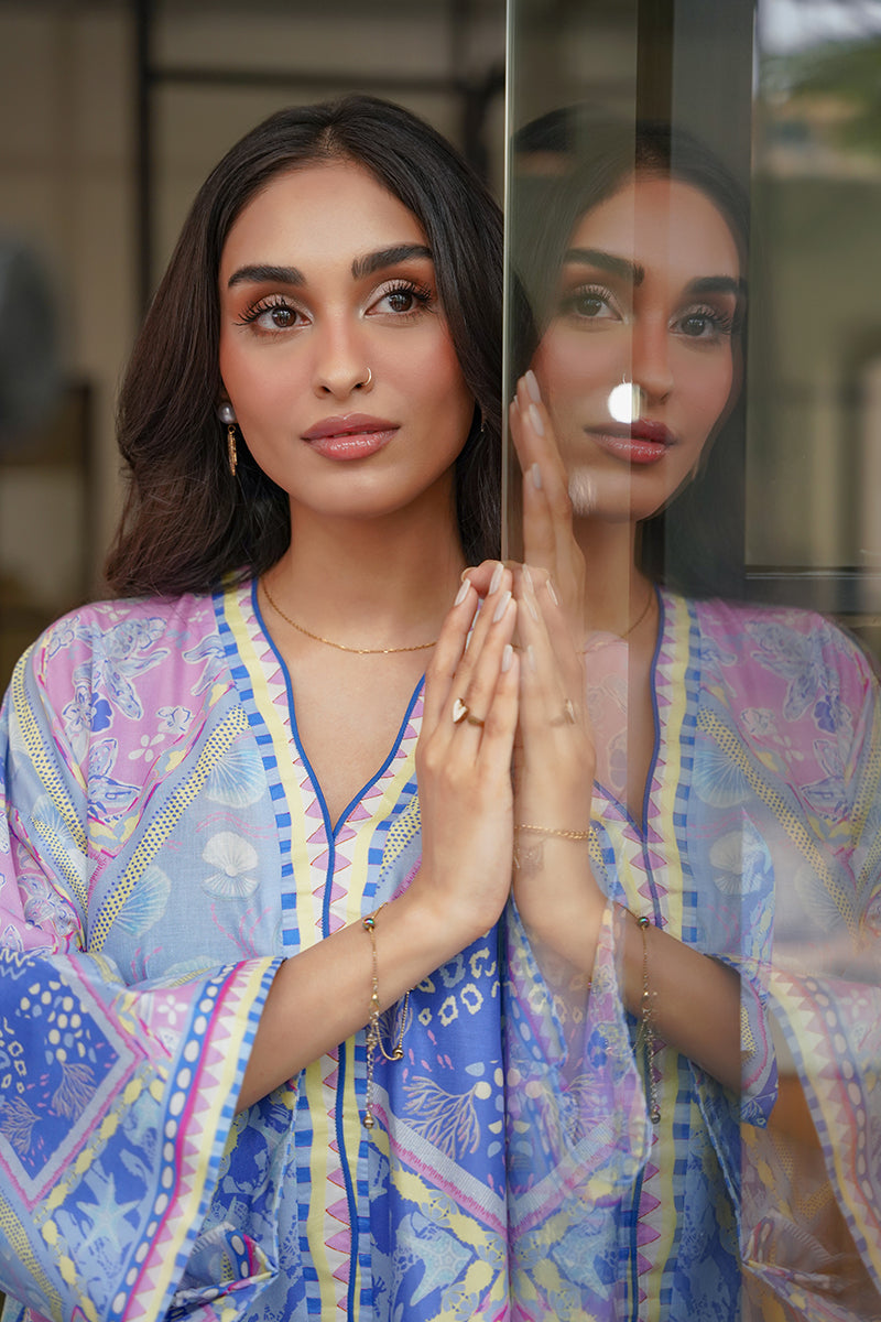 Blueberry Sorbet RTD