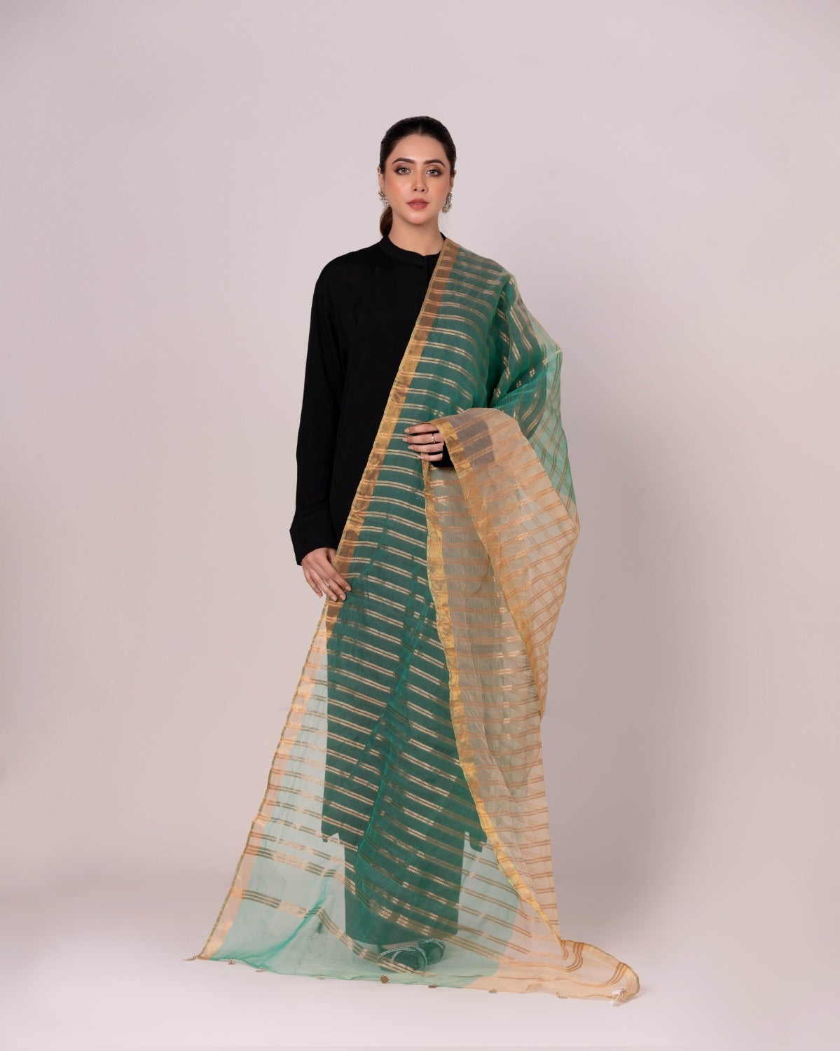 Odhani Embllished Dupatta
