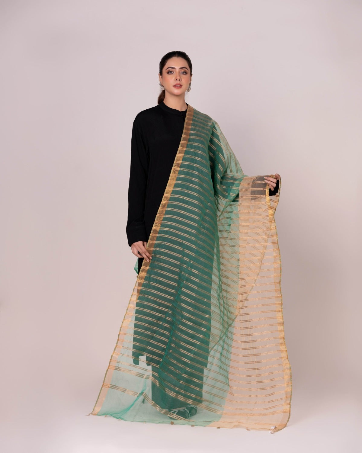 Odhani Embllished Dupatta