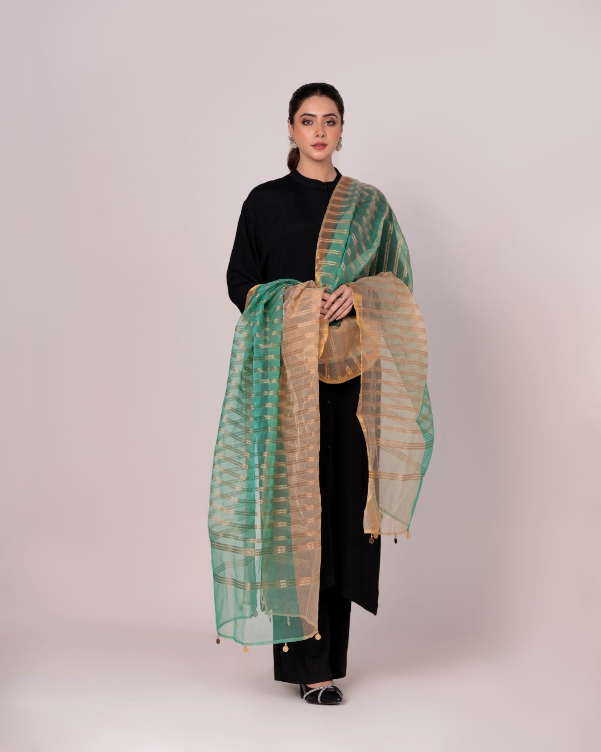 Odhani Embllished Dupatta