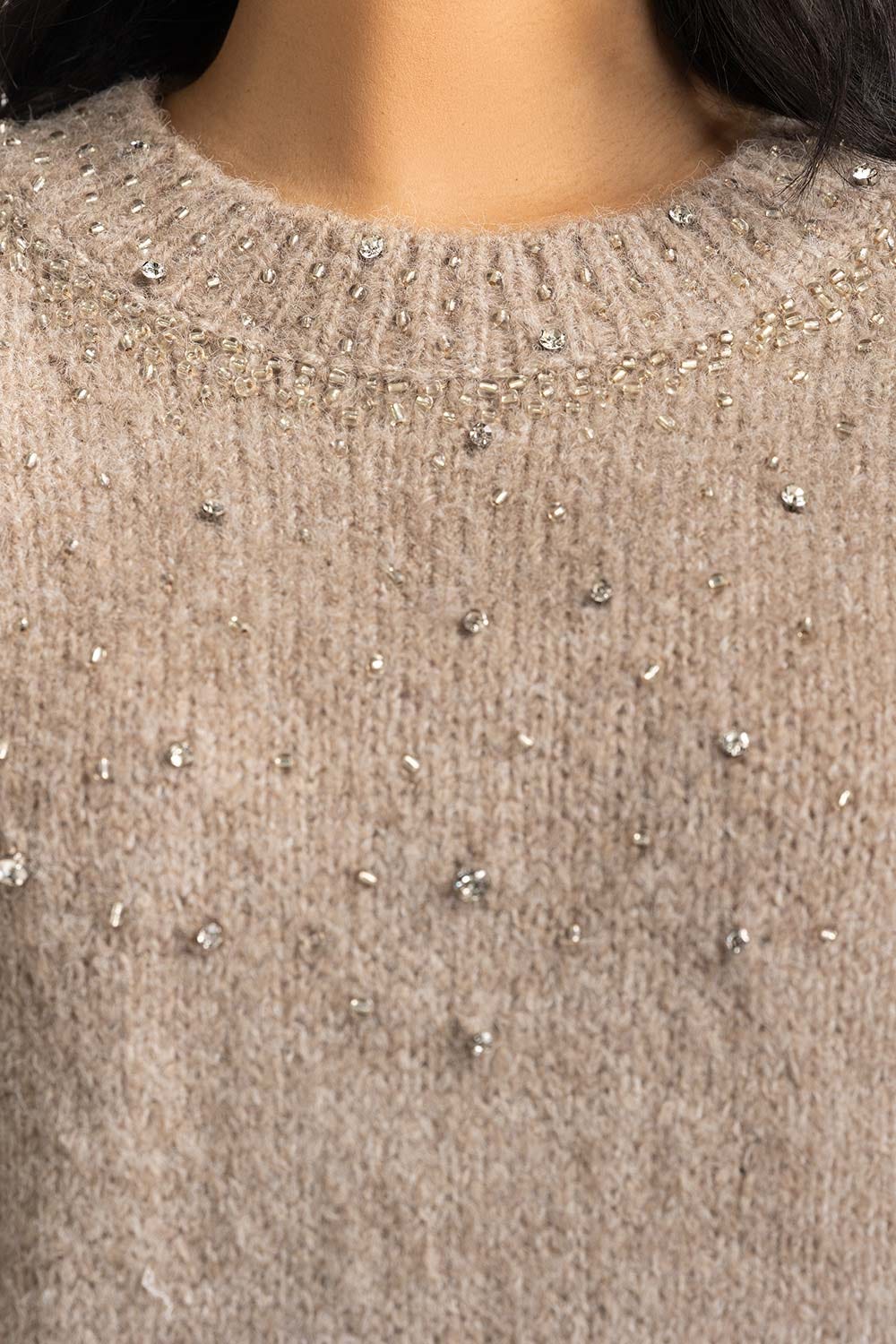 Women Sweater Regular Fit