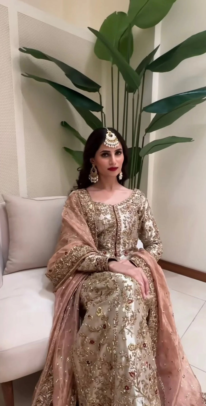 Zeeshan Danish – Dilruba Style