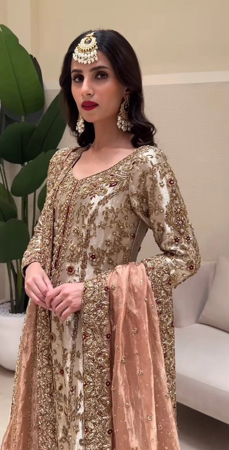 Zeeshan Danish – Dilruba Style