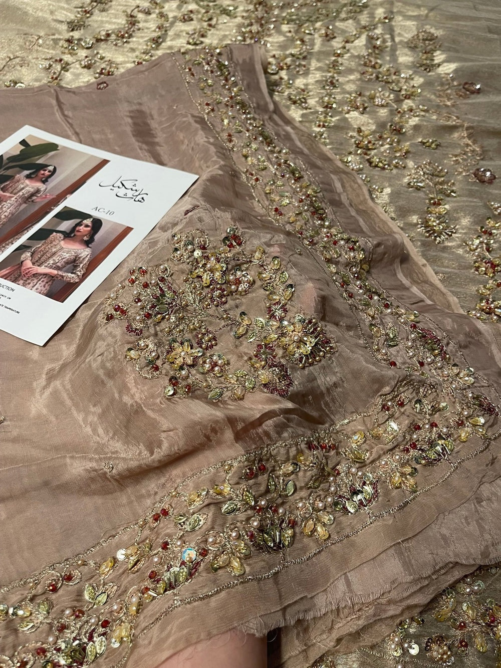 Zeeshan Danish – Dilruba Style