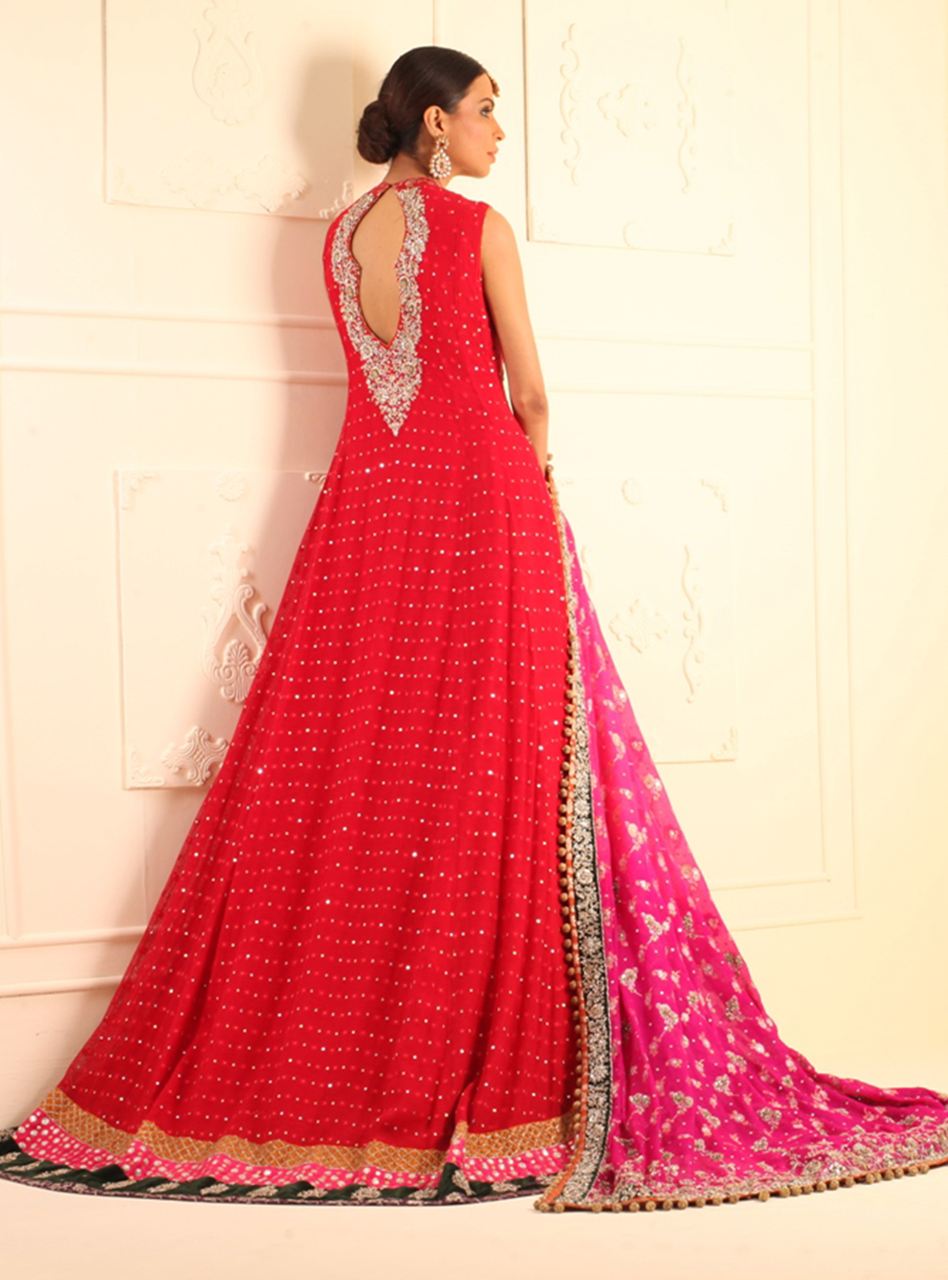 Long Red Mehsuri Net Paneled Dress