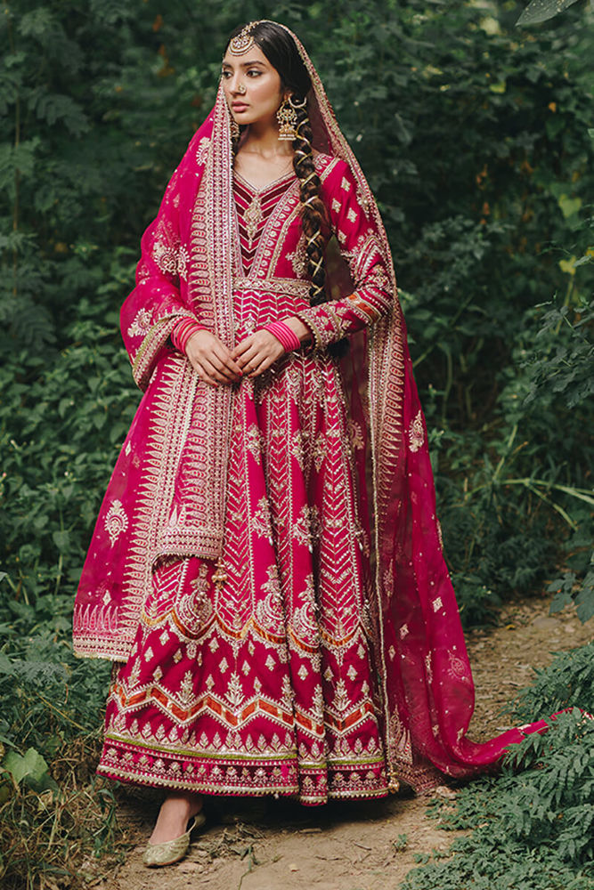 https://www.mohsinnaveedranjha.com/images/thumbs/0000963_bulbul_1000.jpeg