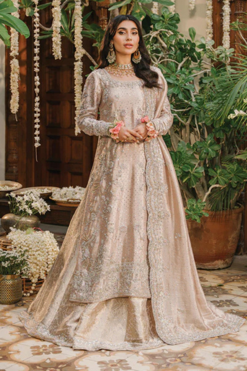 https://www.amnaarshad.pk/images/thumbs/0001432_nashmia.png