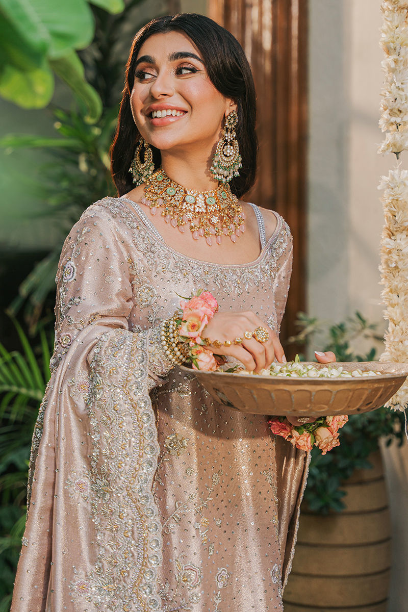 https://www.amnaarshad.pk/images/thumbs/0001586_nashmia.jpeg