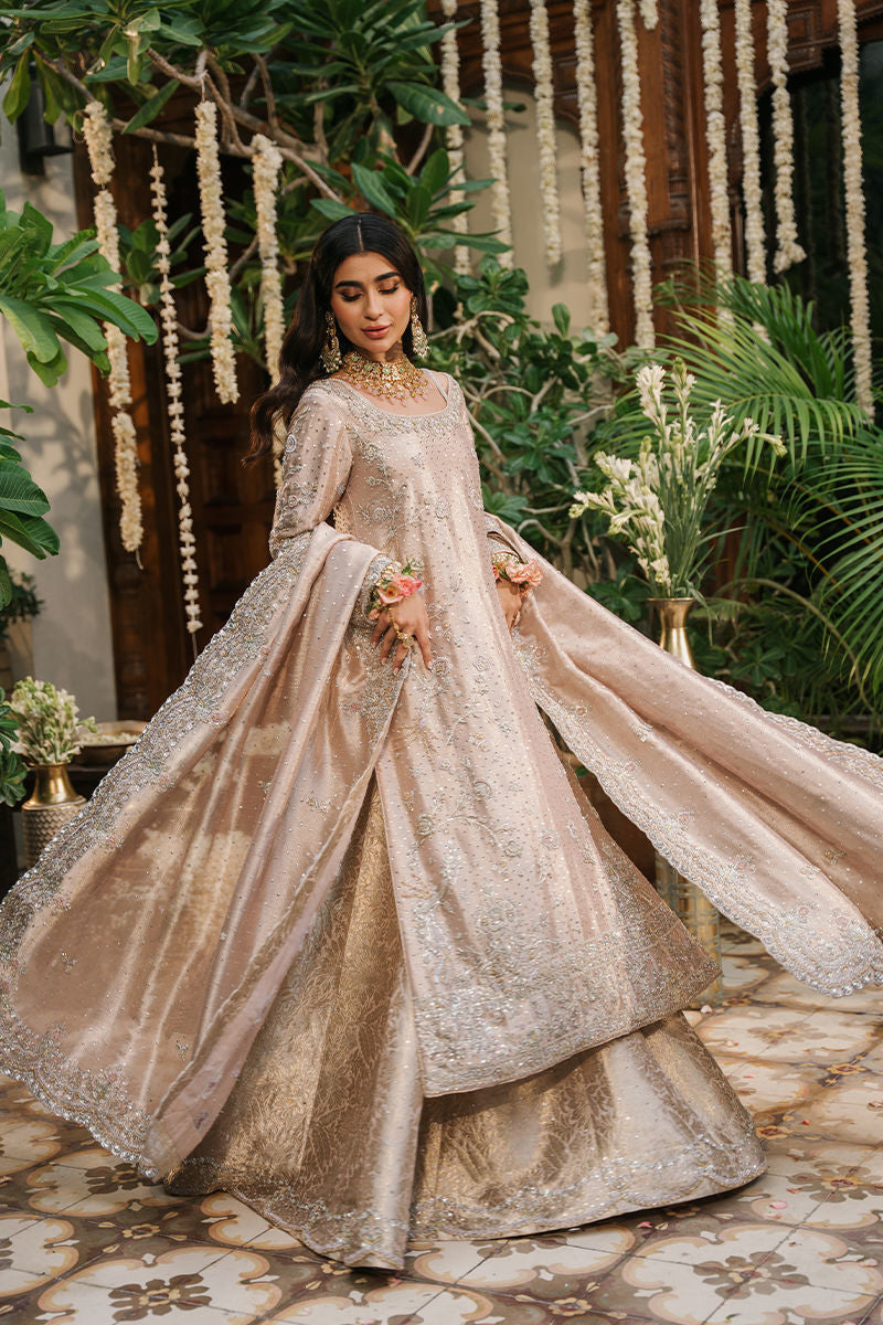 Amna Arshad