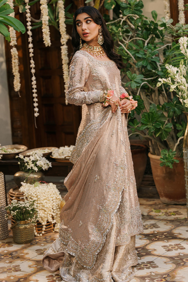 https://www.amnaarshad.pk/images/thumbs/0001588_nashmia.jpeg