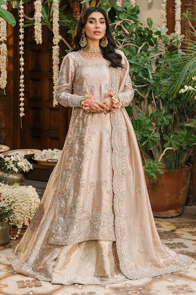 https://www.amnaarshad.pk/images/thumbs/0001590_nashmia.jpeg